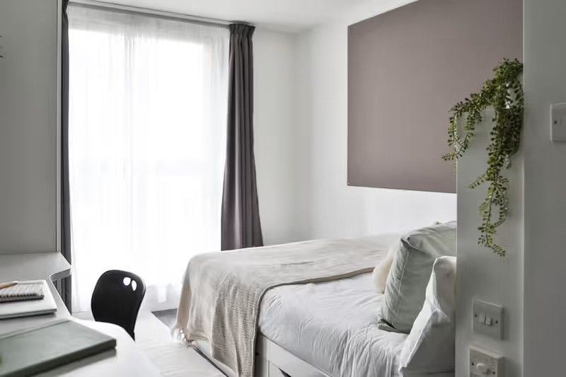 Classic Bigger Shared Apartment